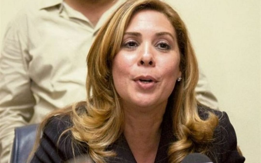 Sergia Elena descarta apoyo del sector de Leonel a Gonzalo Castillo